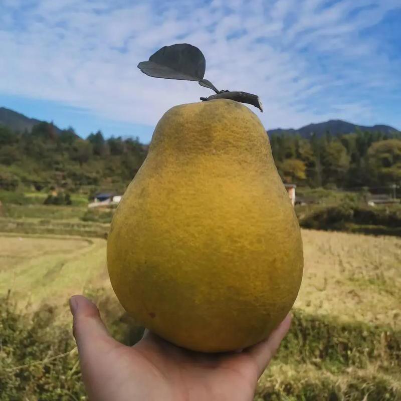 晨星打印中心秋季信息技术工作室1直播号