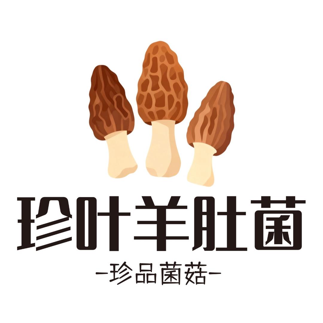 珍叶羊肚菌