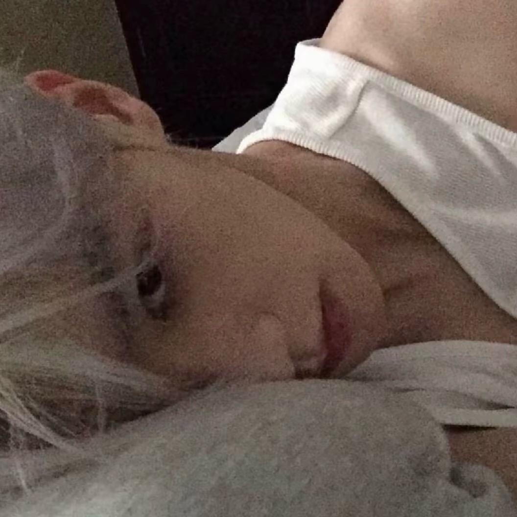 偷偷扣手的果蝇