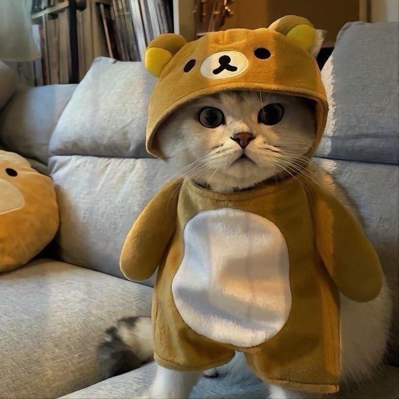 🚣‍♀️我从不靠桨🌊