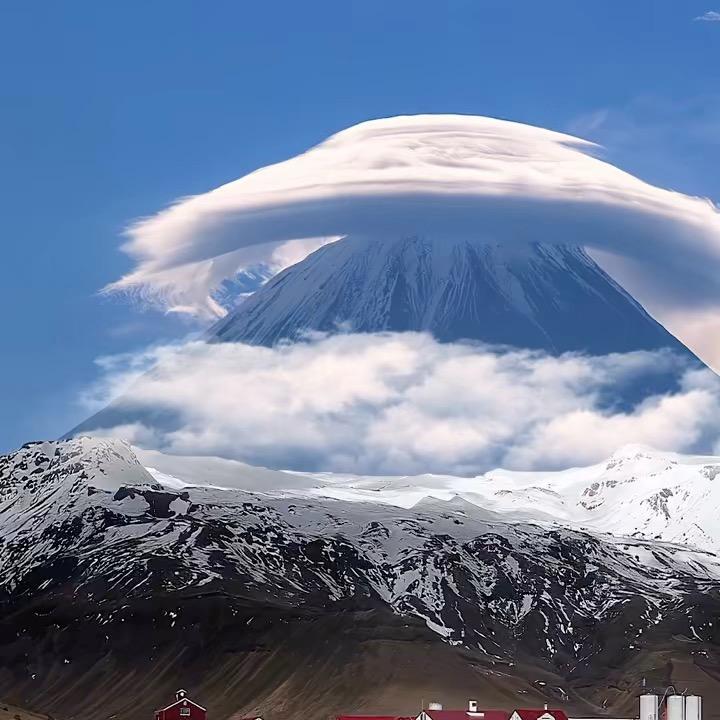 、举个栗子🌰