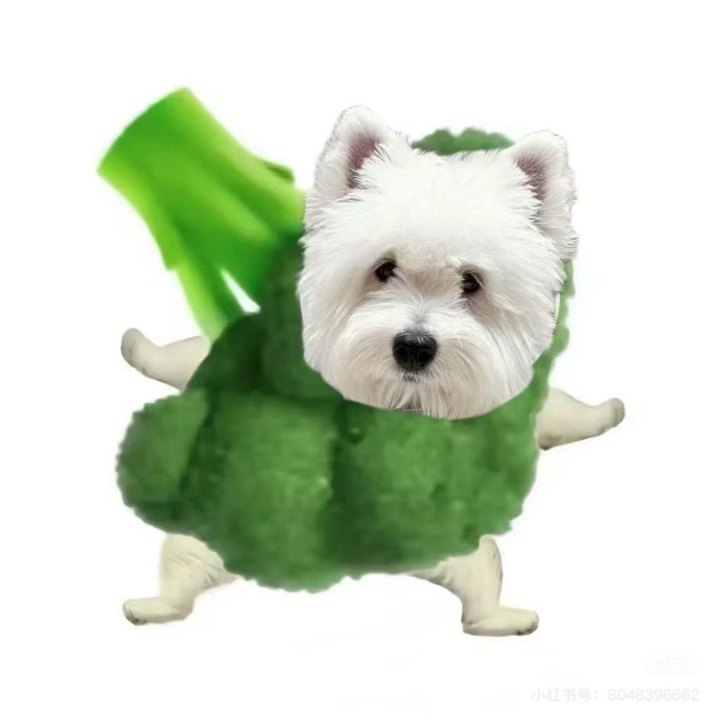 汪小D潮玩
