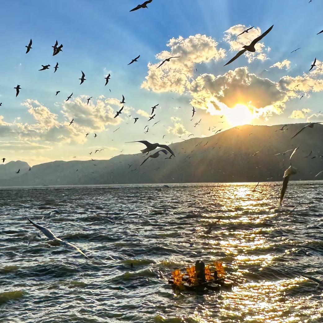 尚创网络科技有限公司