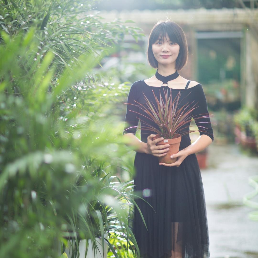 迷踪带你看花园