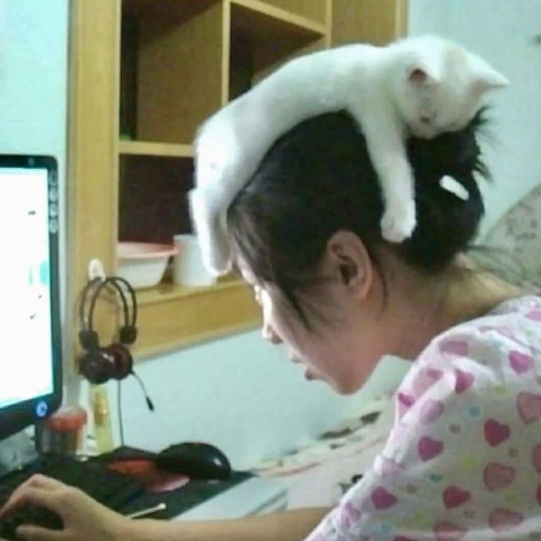 小宁学姐iio