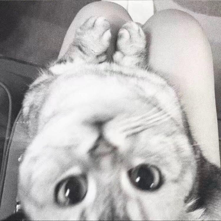 07.