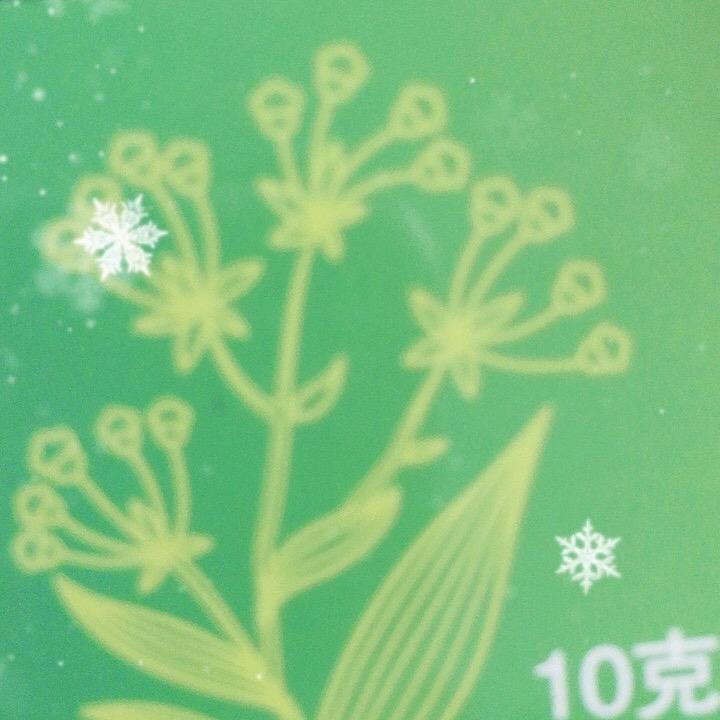 游雪琪