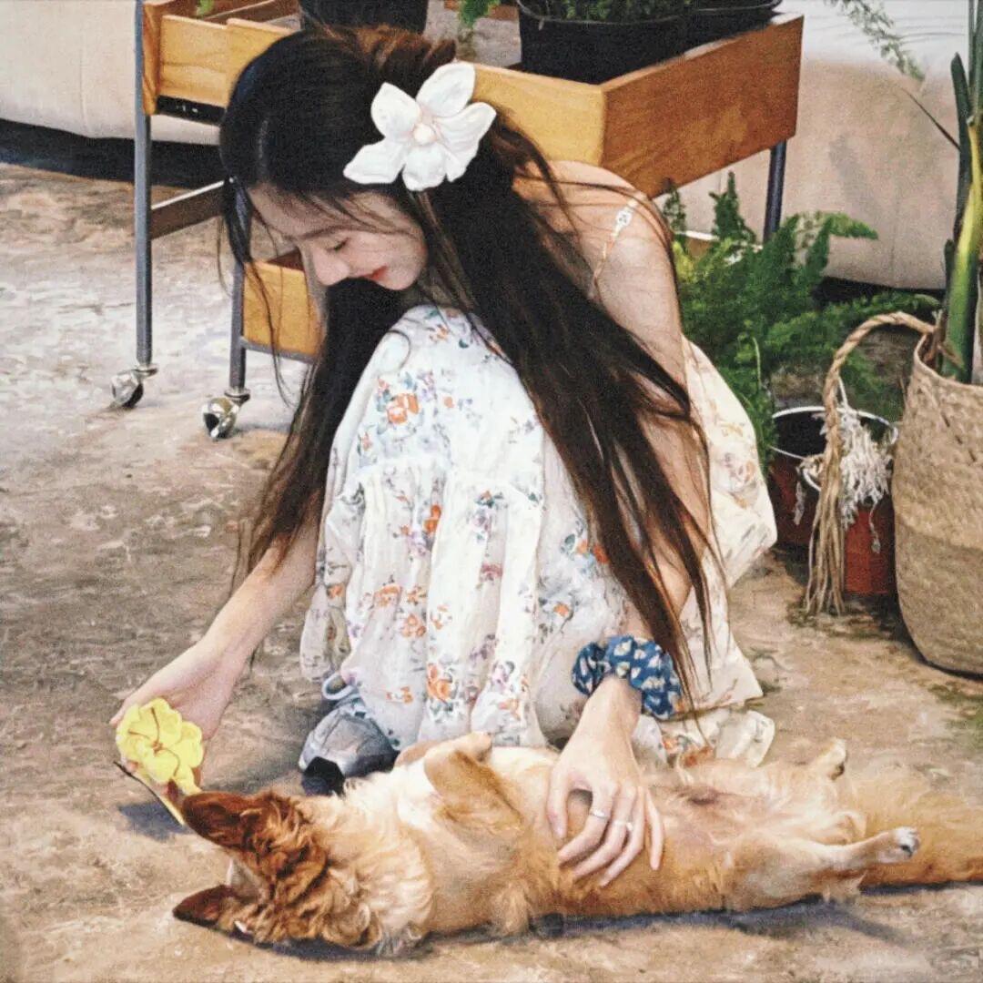 萝萝.