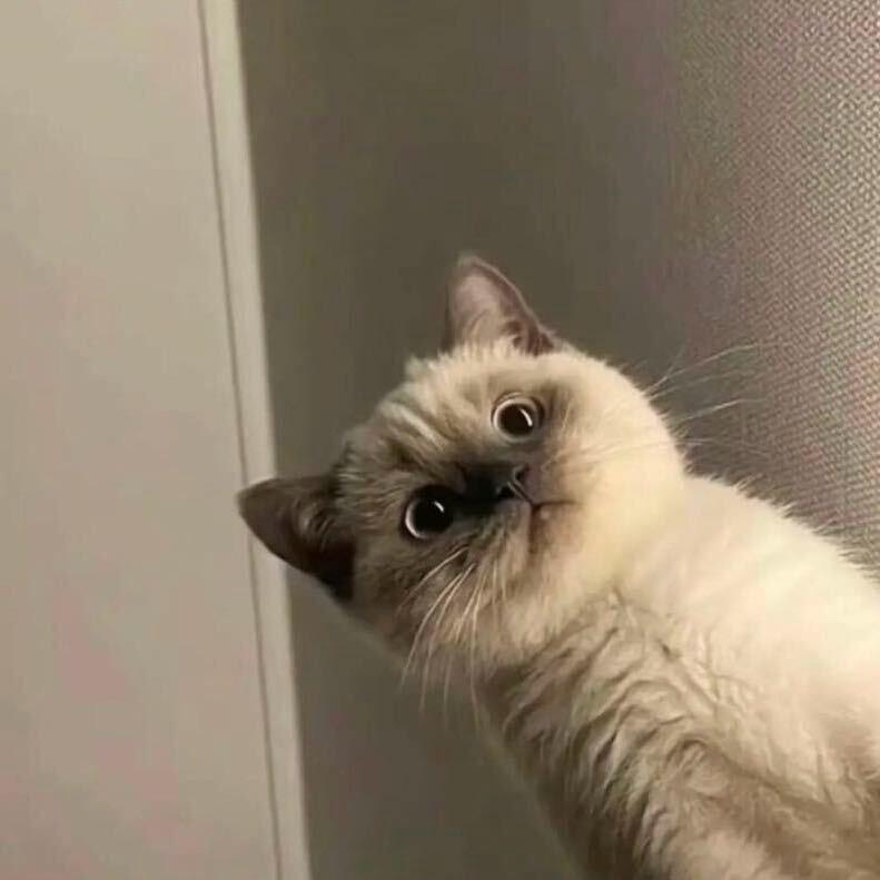 反方向的钟