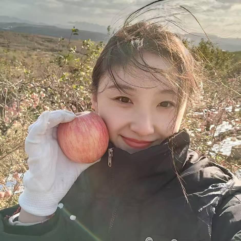 农间地头小高阳