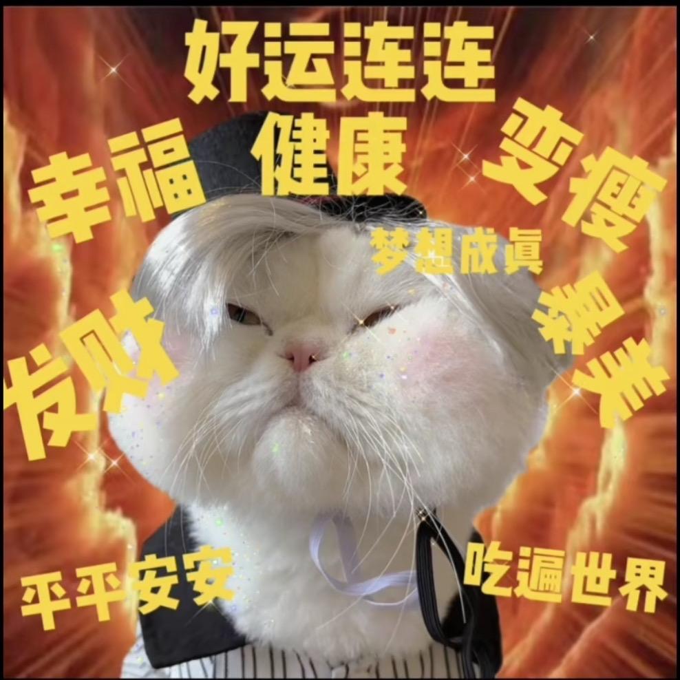 弹弹堂书生