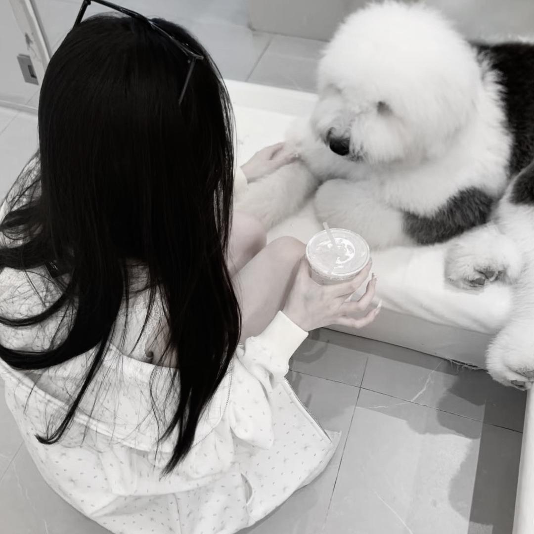 丁香叶💟