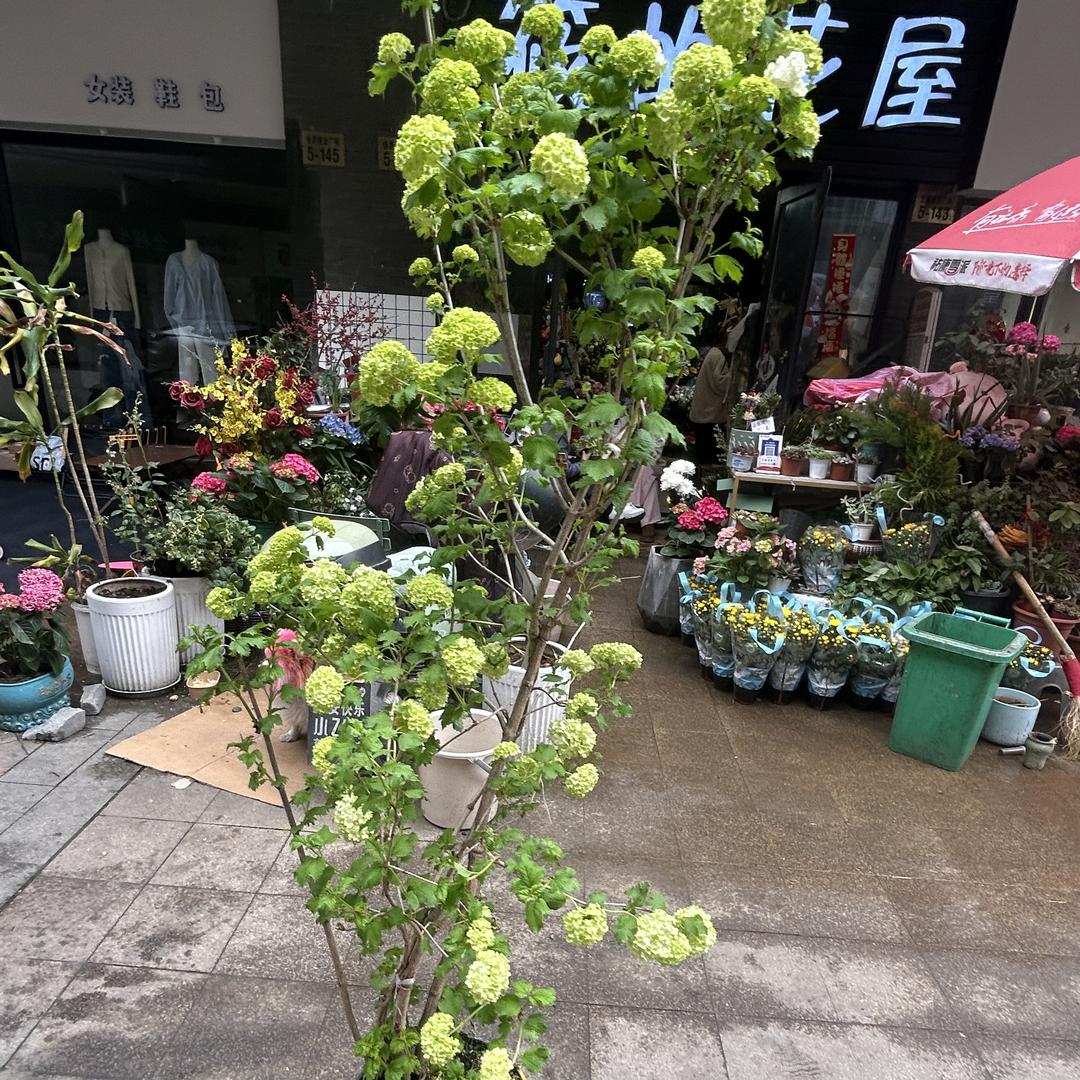 屹哲优选小铺