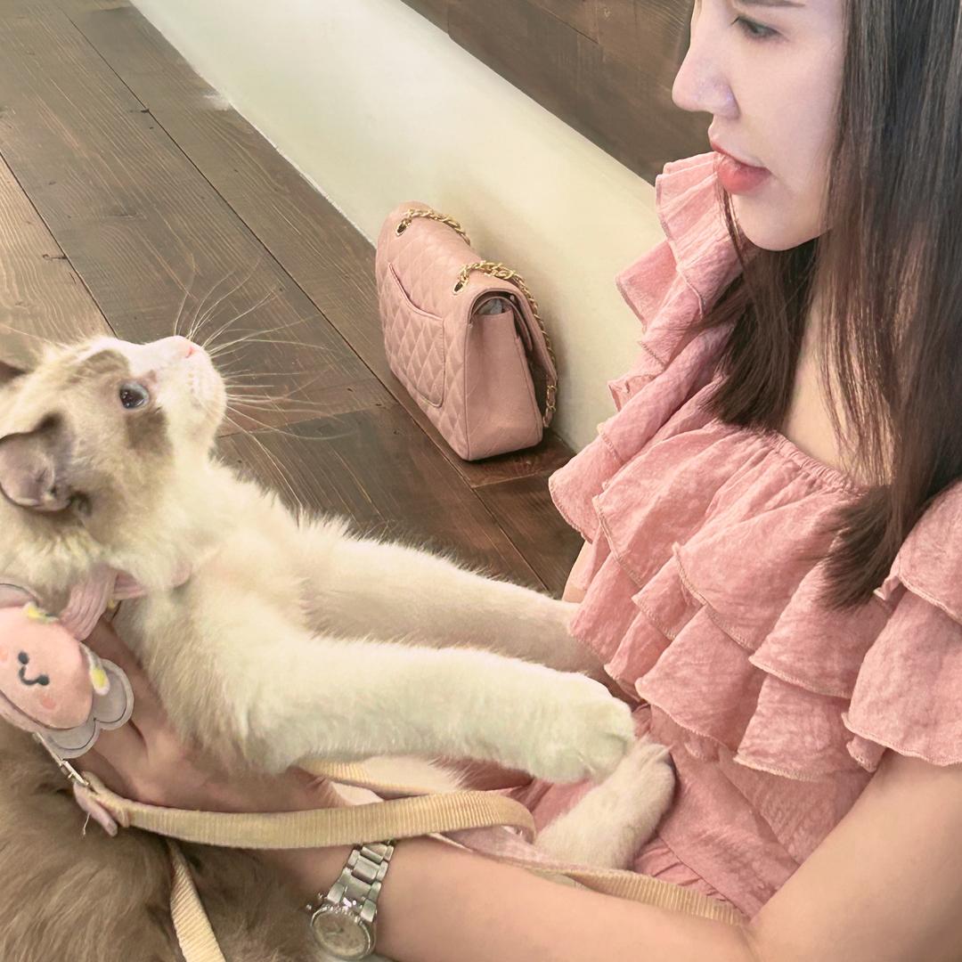 不经历风雨怎么见彩虹