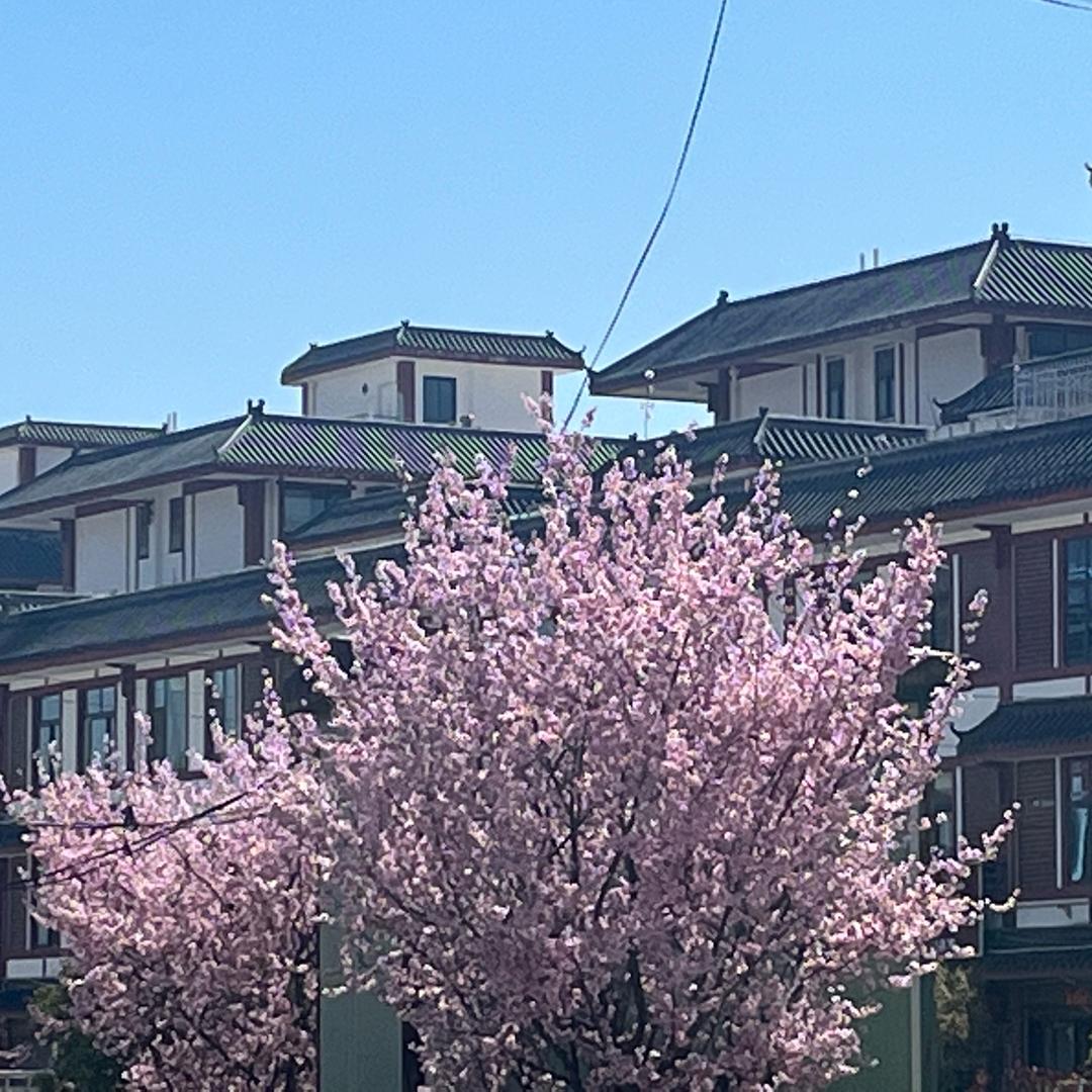 郭郭生活记录