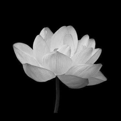 Minh Phuong 29 A HN