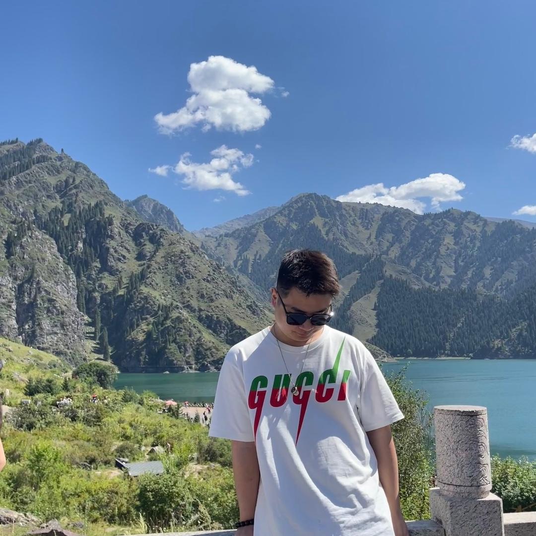 是杨
