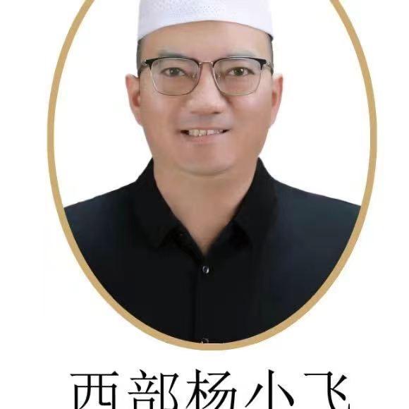 杨飞丸子夹沙海陆空