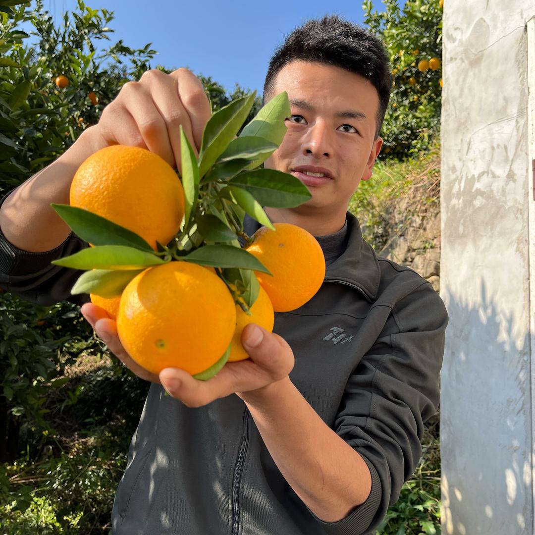 军营果农阿兴