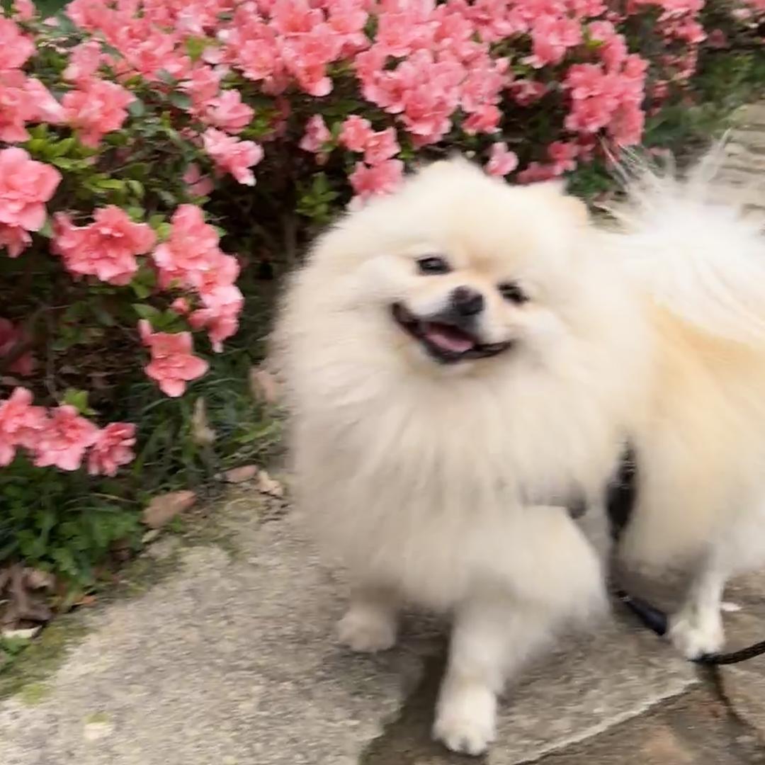 超级小小李