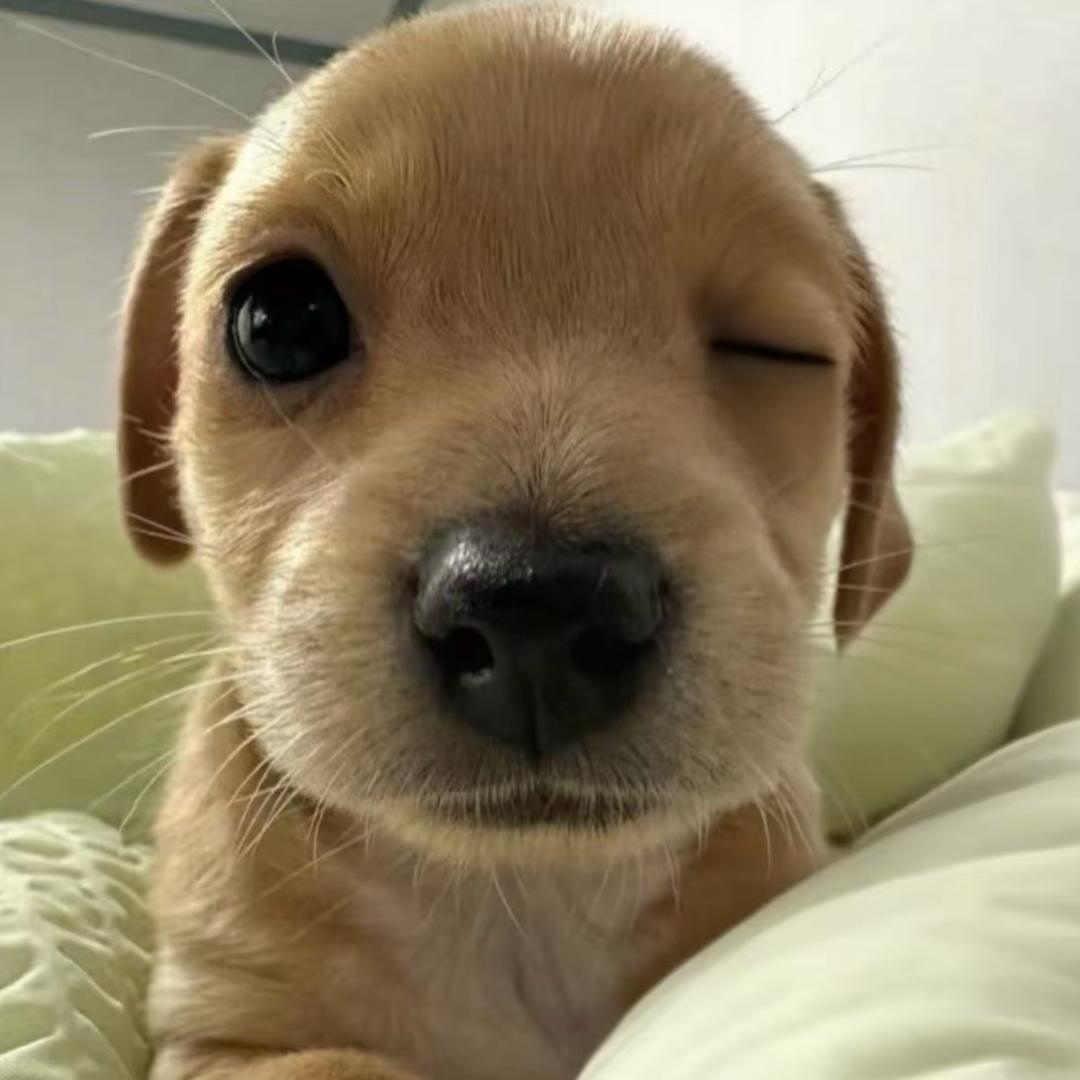 如果敏感是天赋