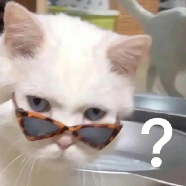 你还怕大雨吗-