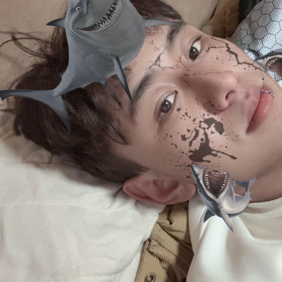 格( ﹡ˆoˆ﹡ )局