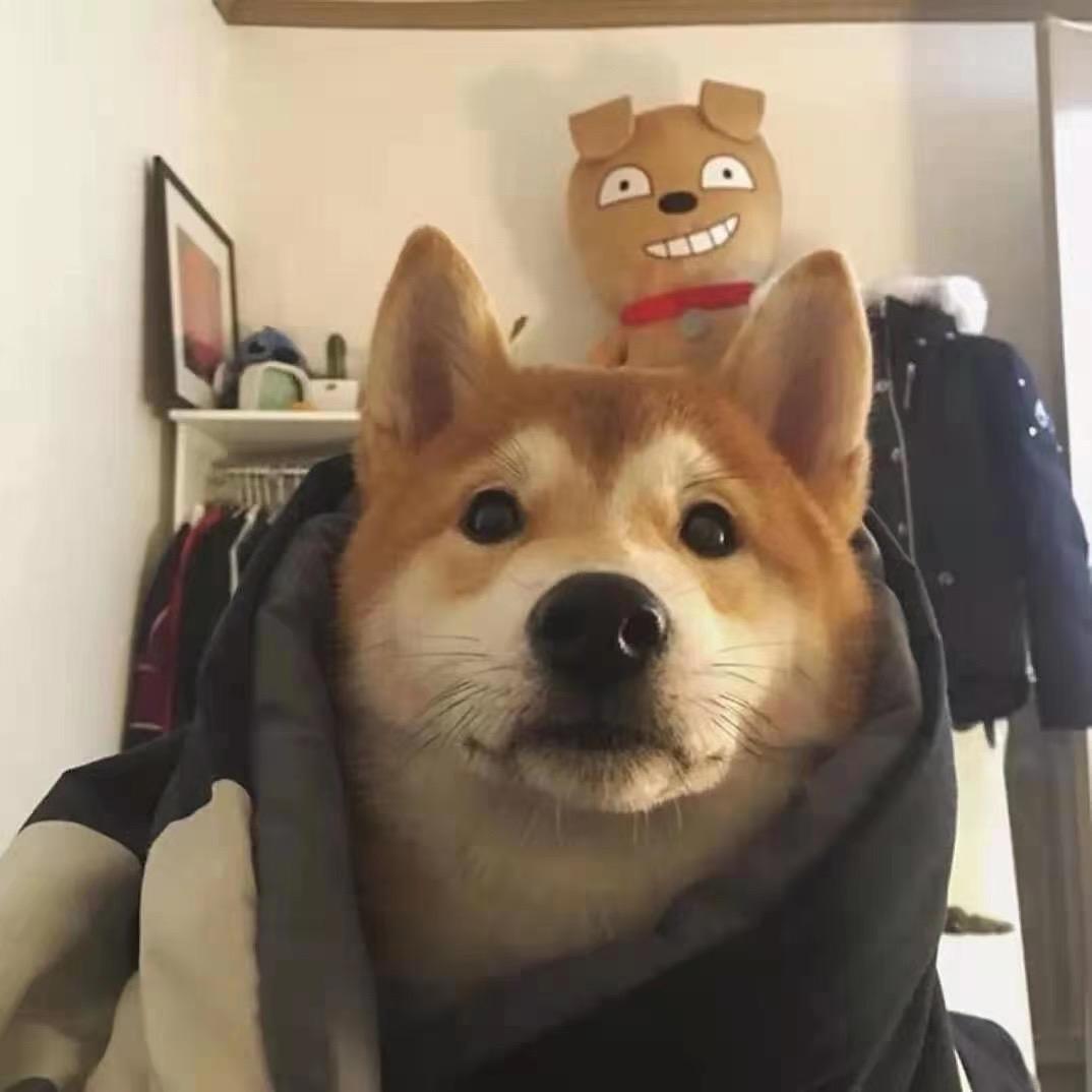 爱答不李先生