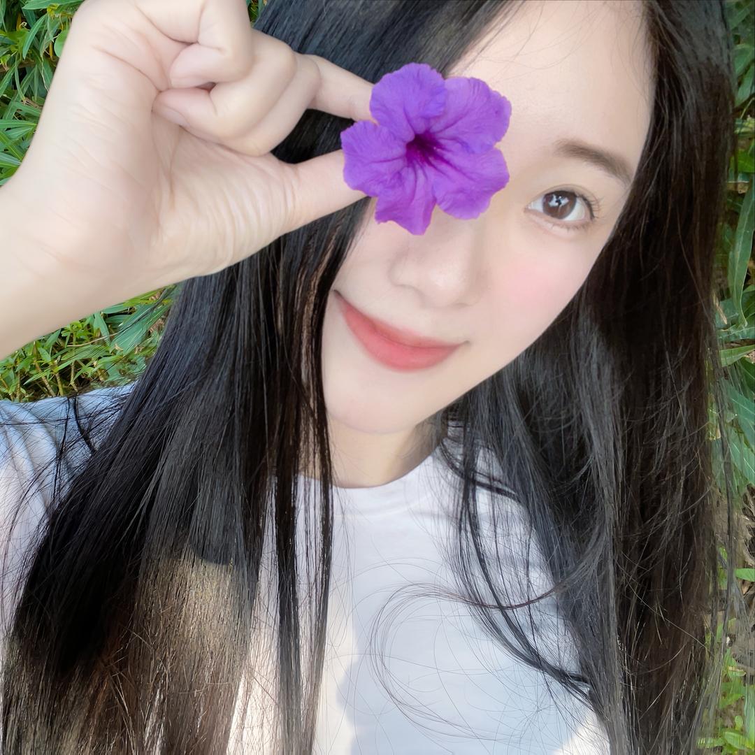 张圆圆
