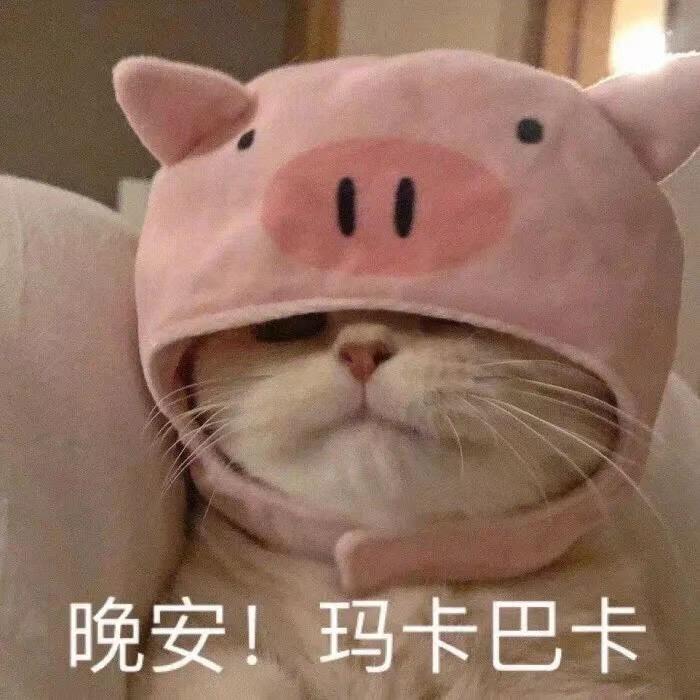 芝士蛋糕