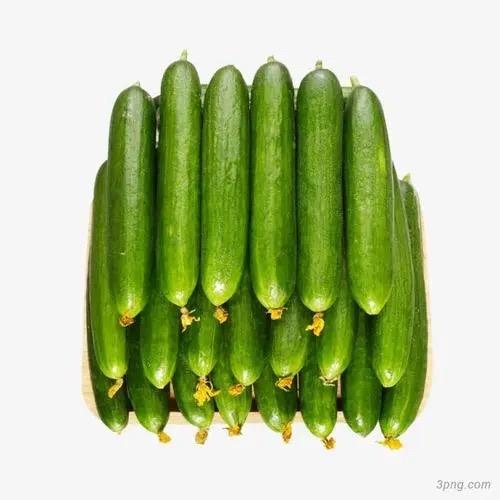 大新说黄瓜