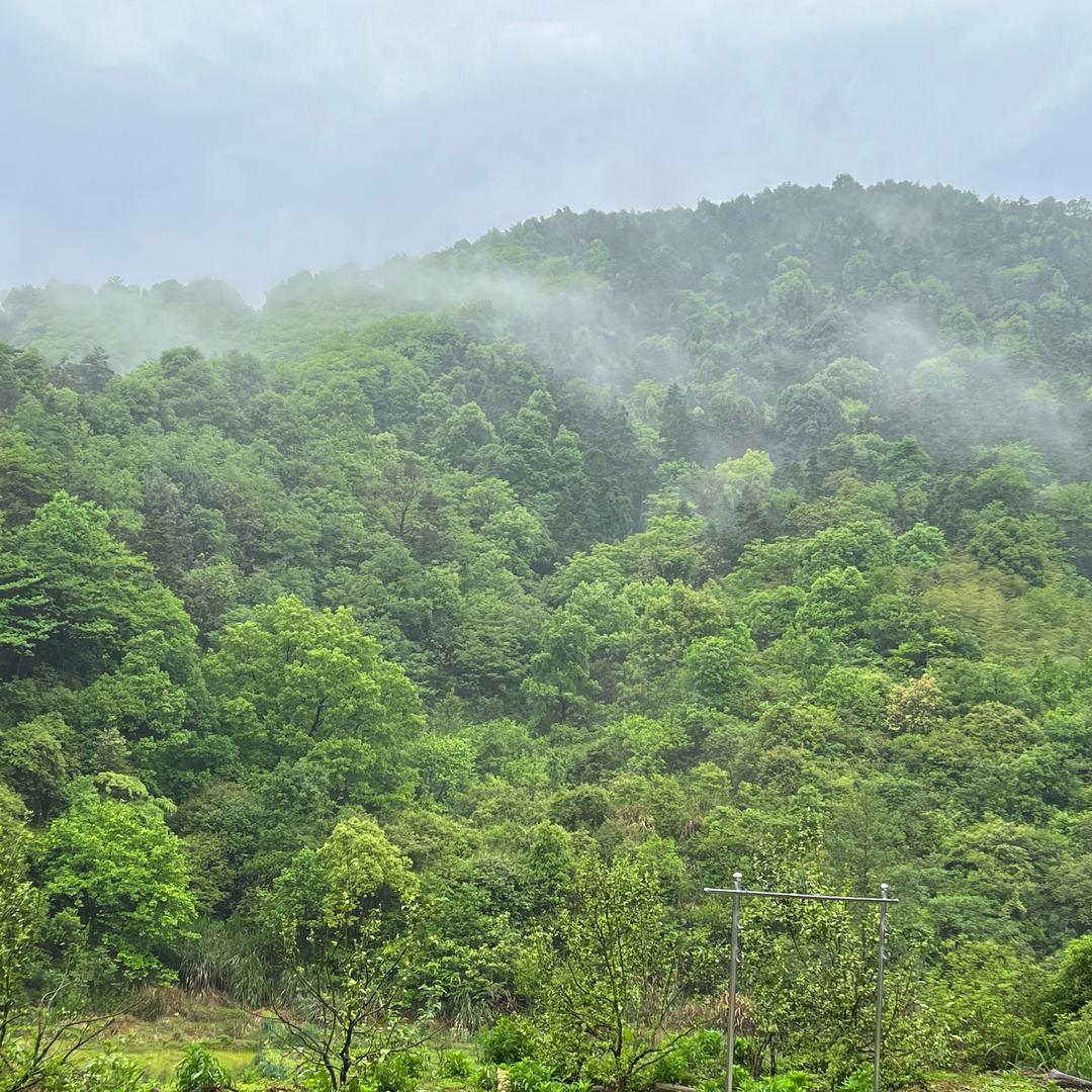 🍀岁月静好🍀