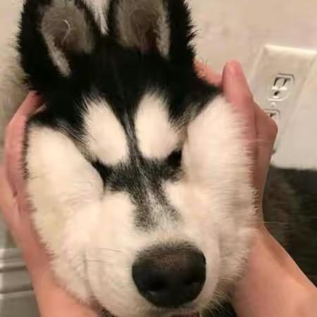 超人不会飞