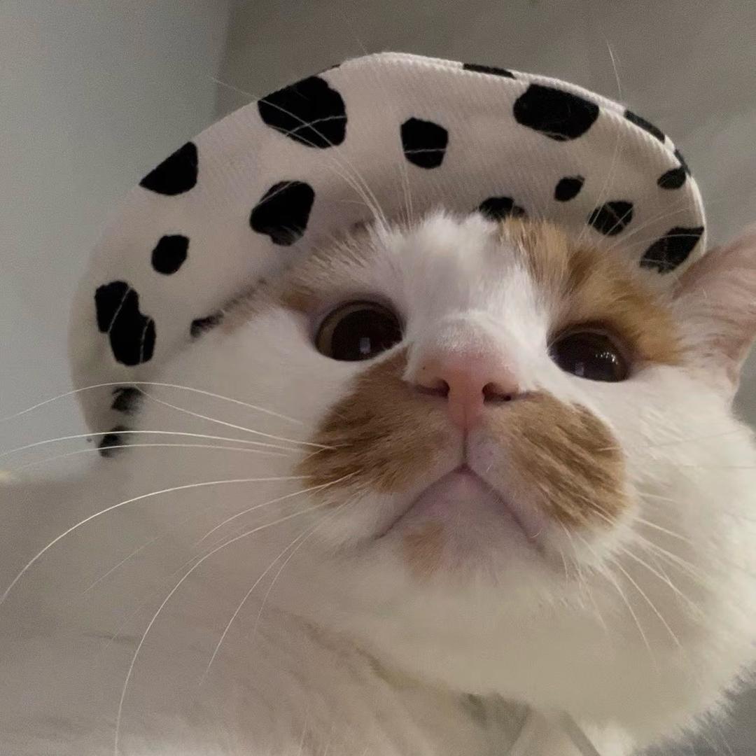 代号小甜品（休）