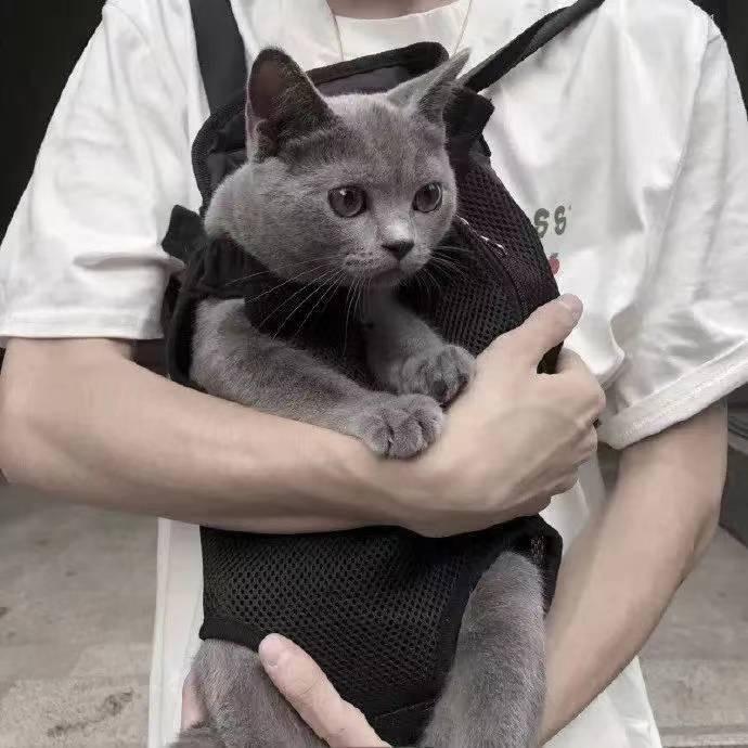 橙子WTF