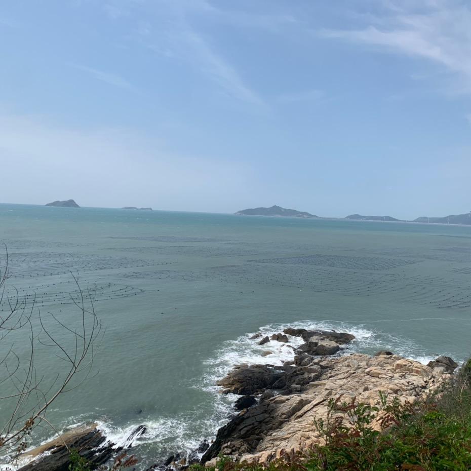 🐶福建第一深情
