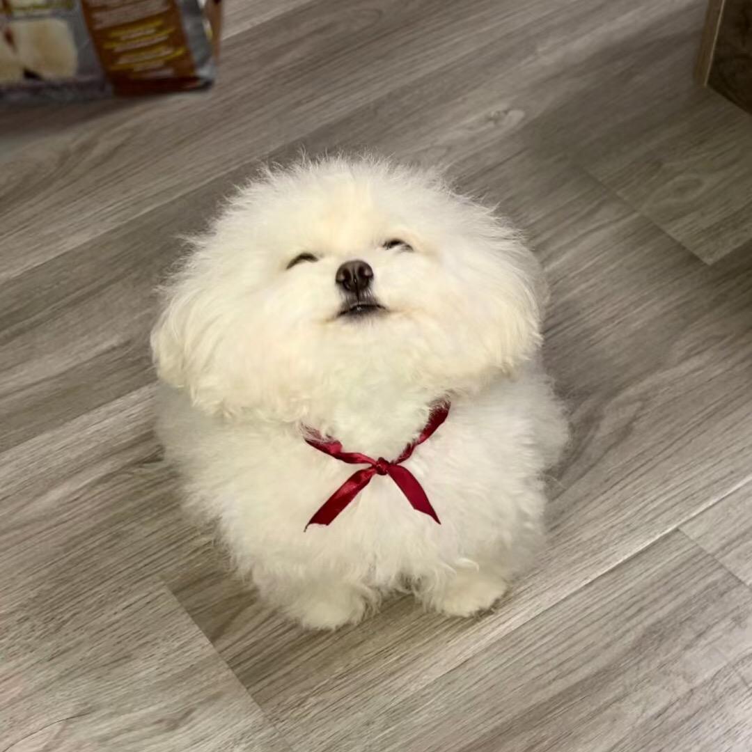 让一哈