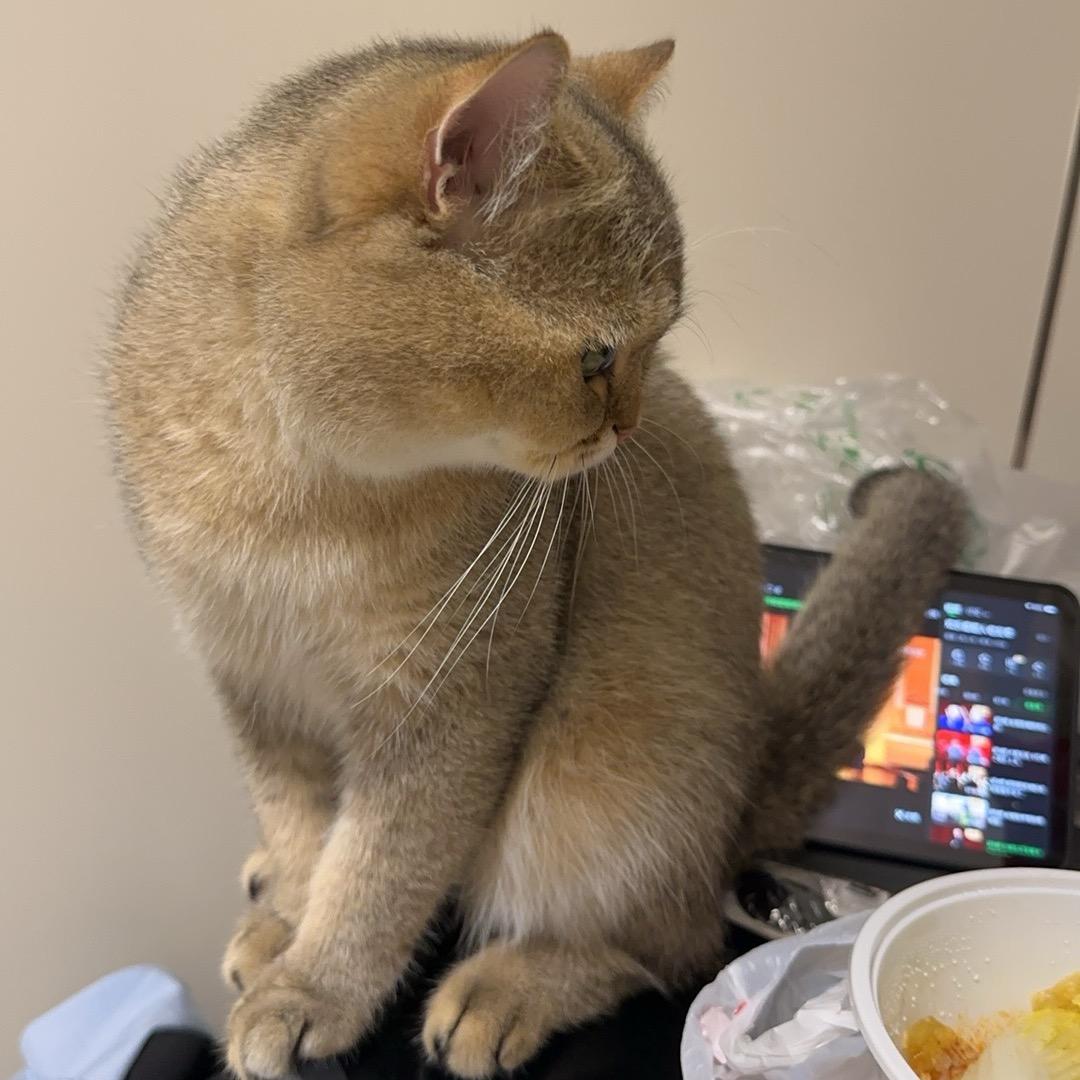 琳琳呀