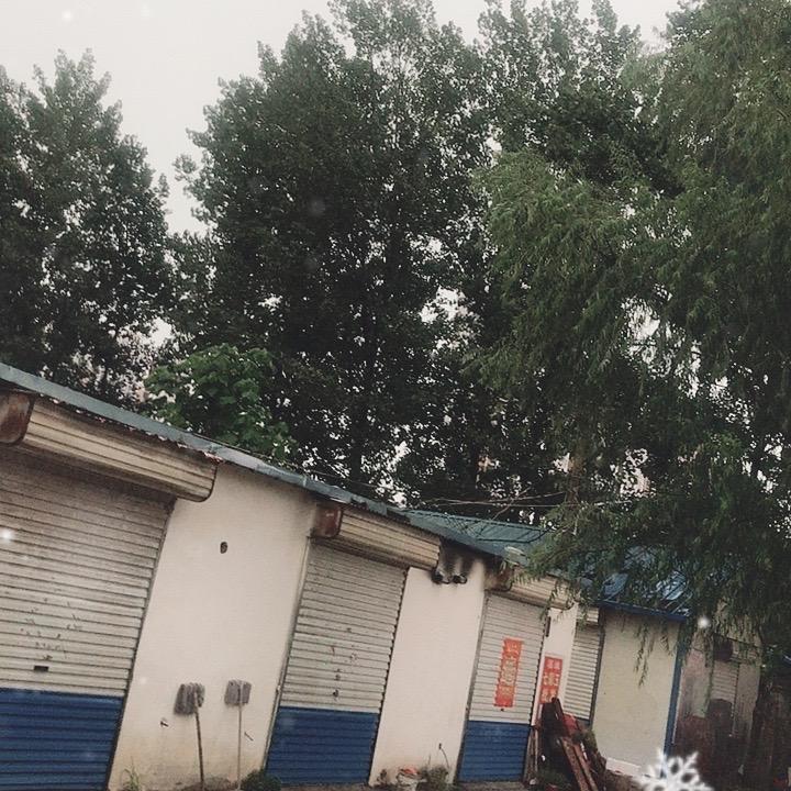 文鑫奇石