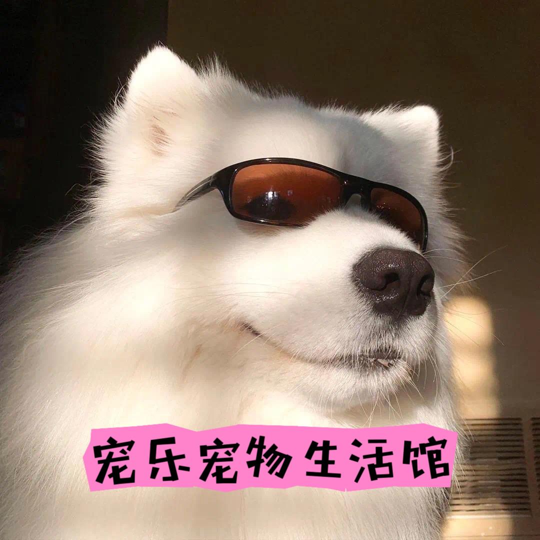 宠乐宠物生活馆