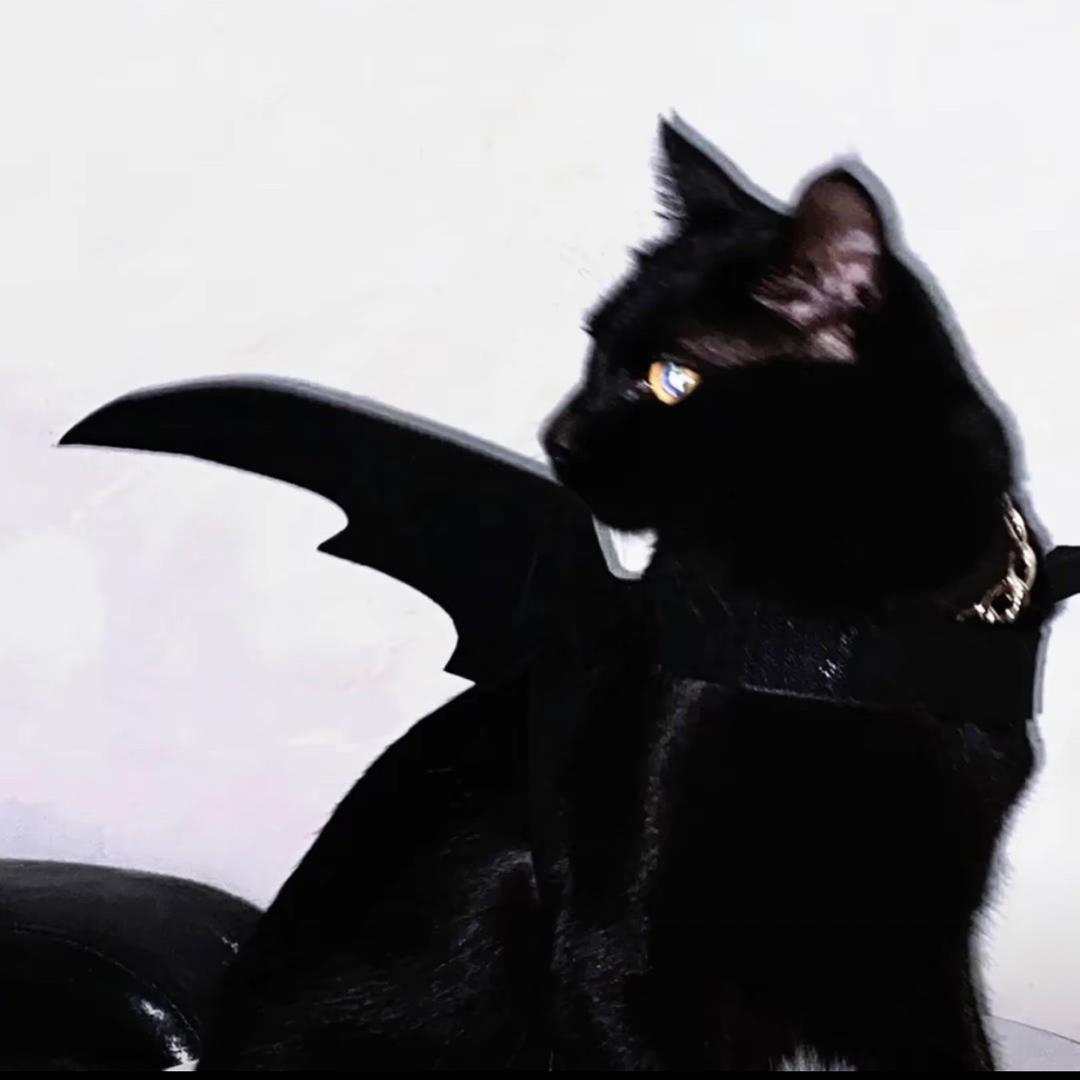 😈