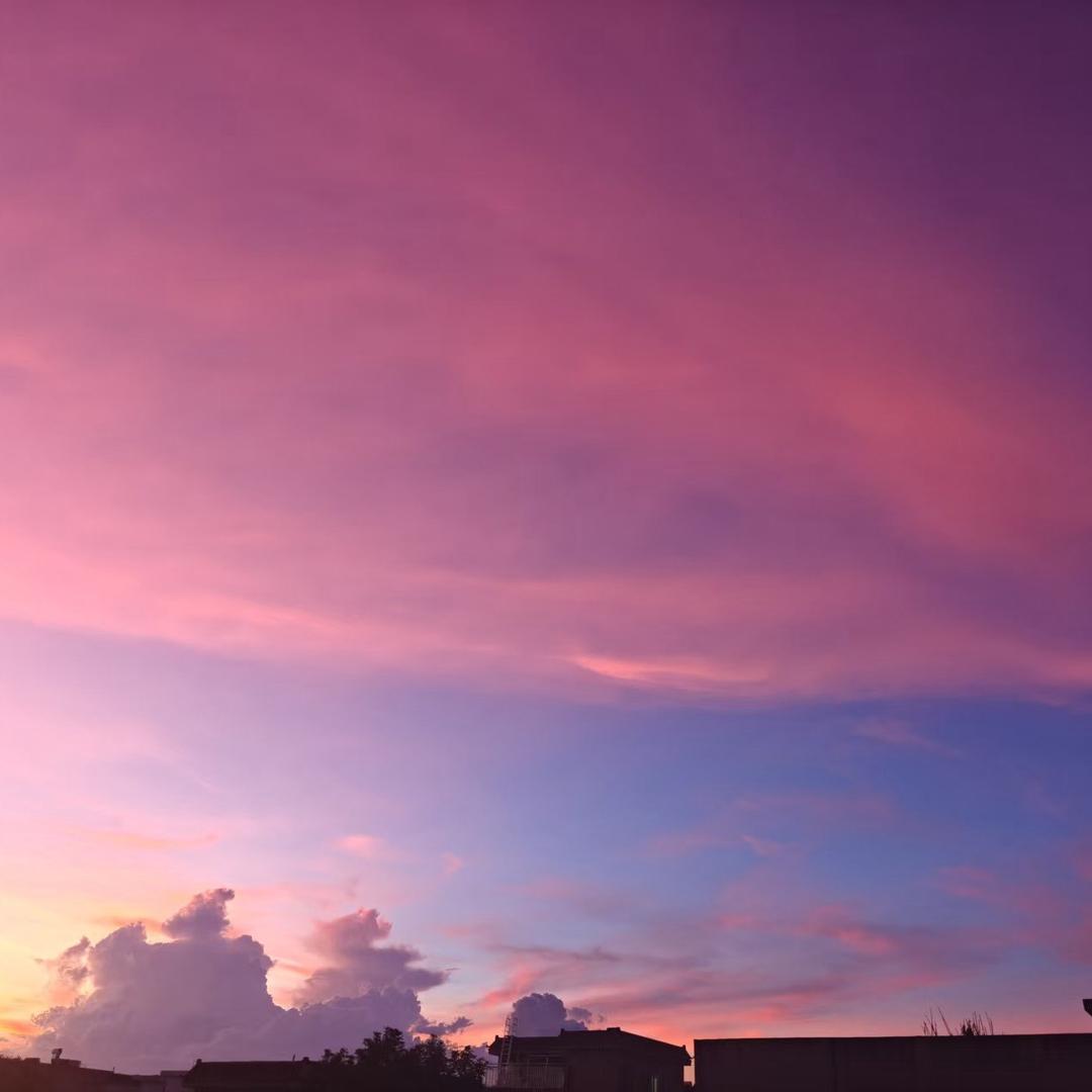 小娜娜的加油站⛽