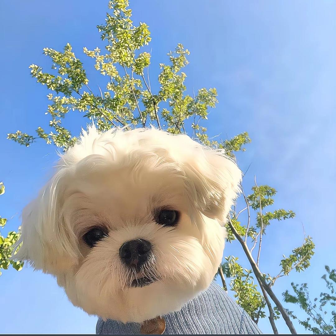 好老公