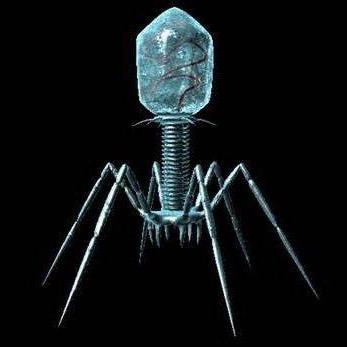 二十面体机器人