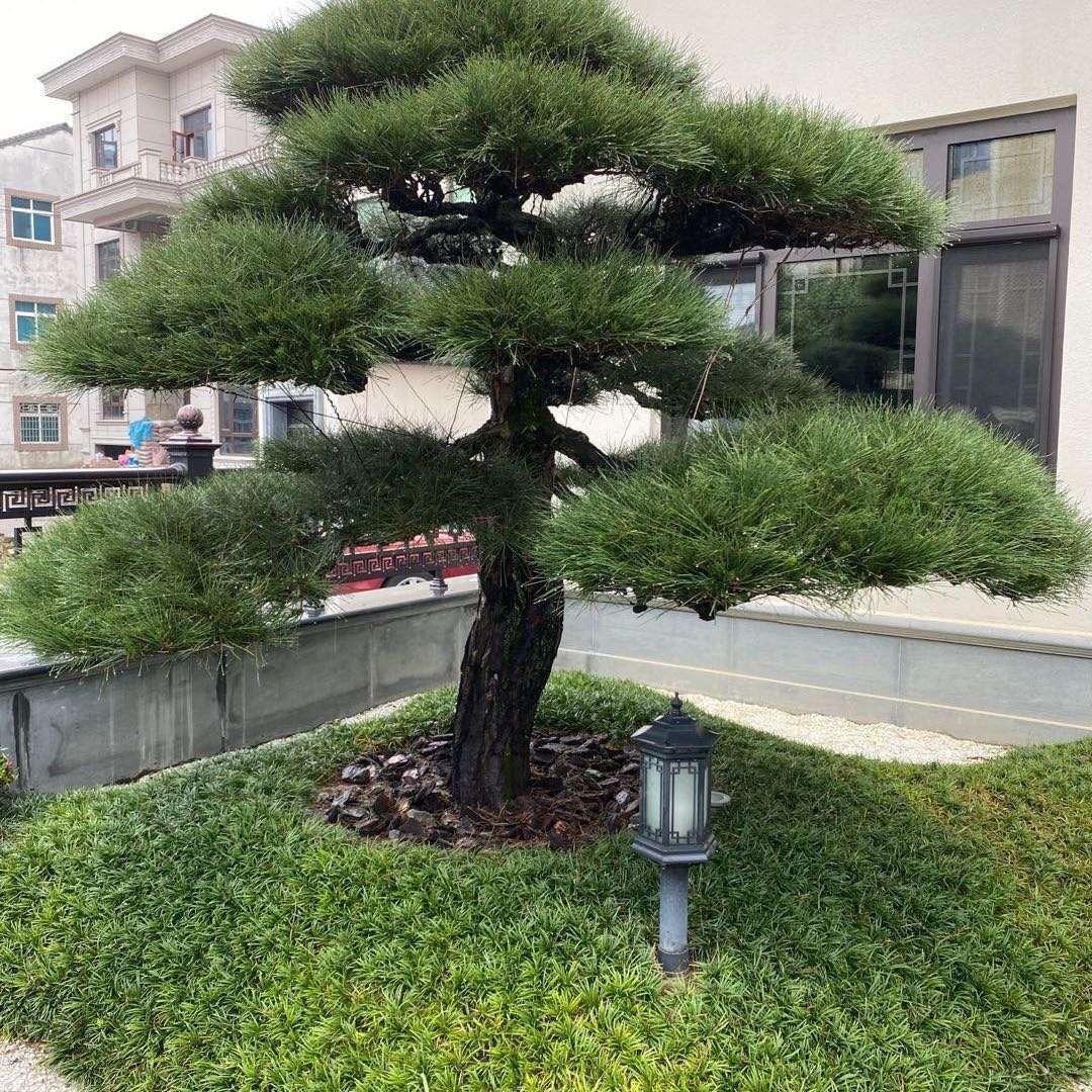 刘斌单项木工承包