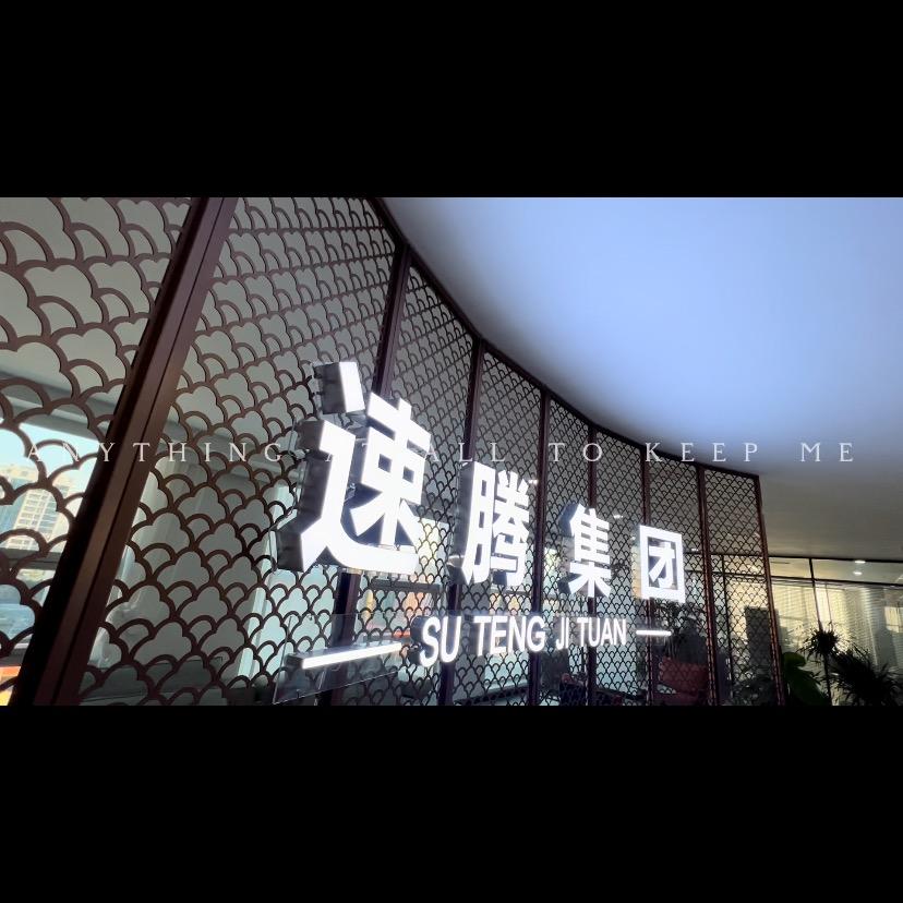 山东速腾网络传媒有限公司