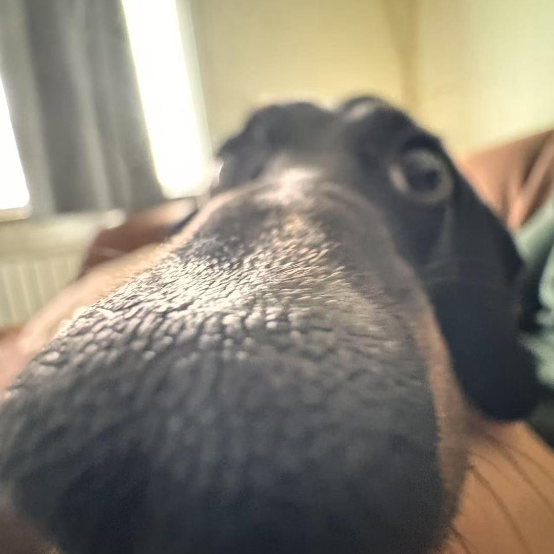 Mr.G