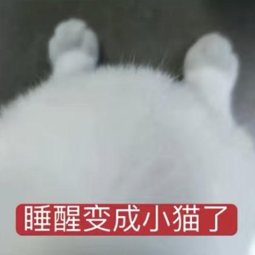 蛋黄大王