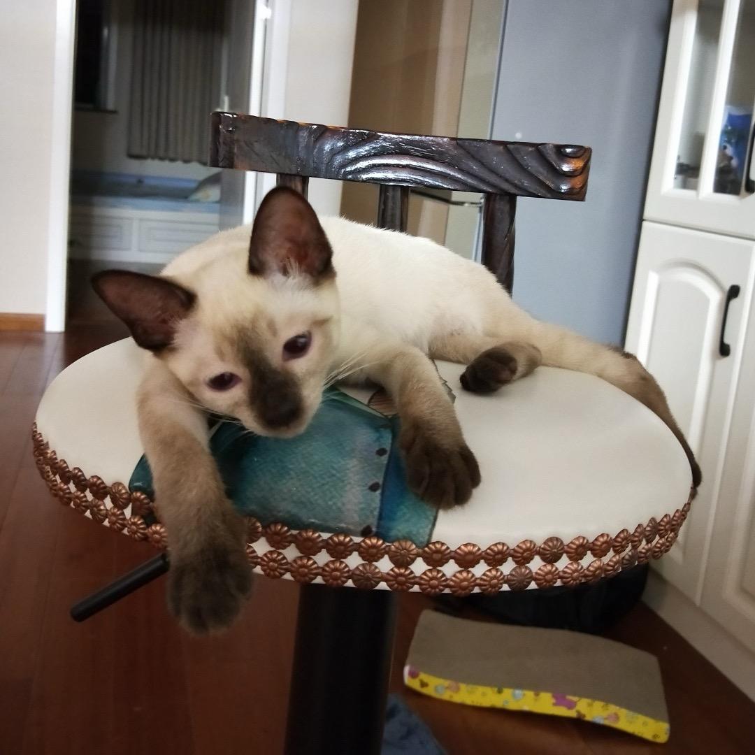 小德