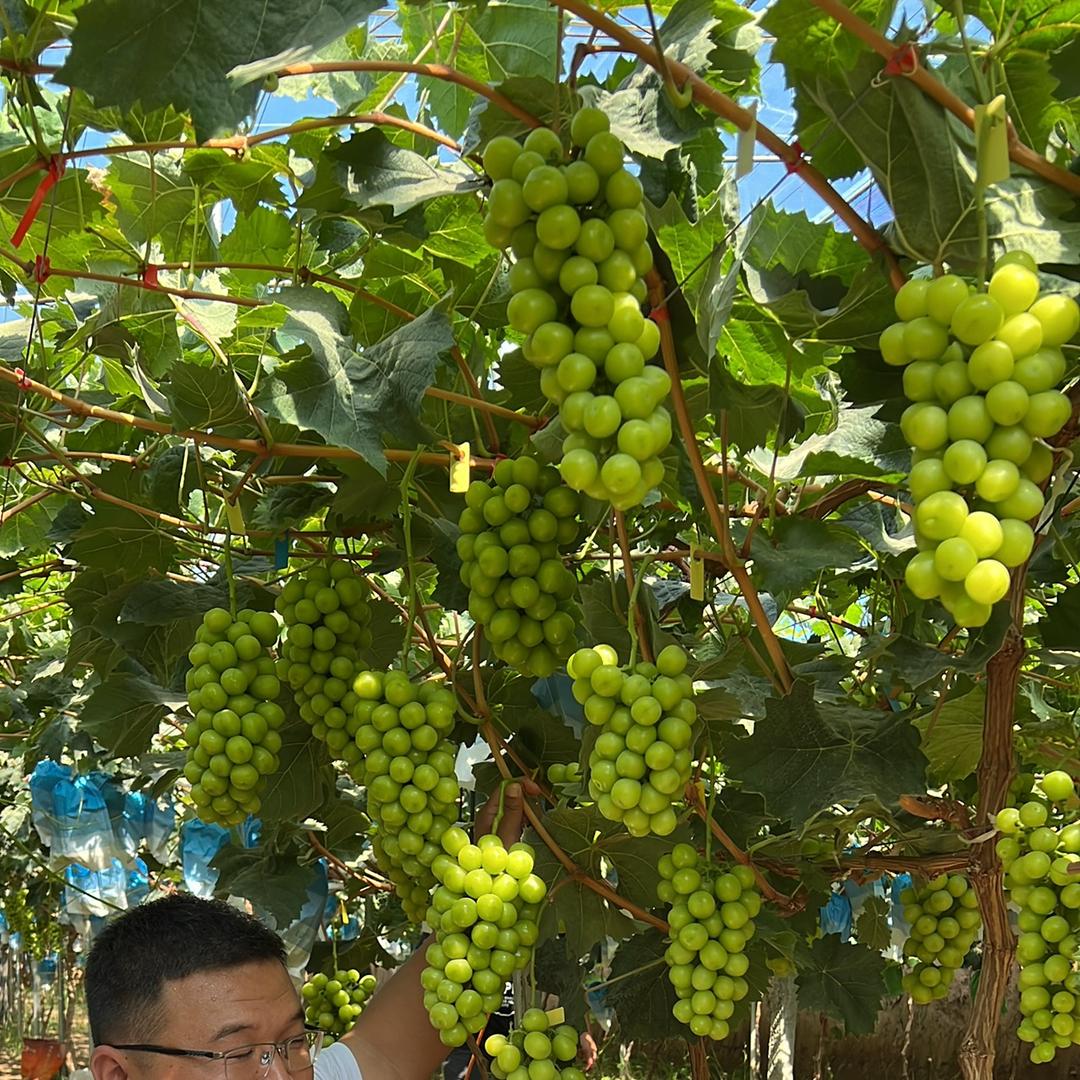 沐汁源水果店